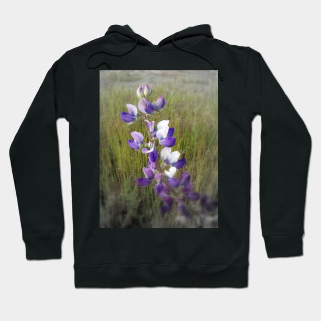 lupines in the grass Hoodie by DlmtleArt